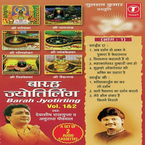 Barah Jyotirling (Vol. 2) Anuradha Paudwal MP3 Download
